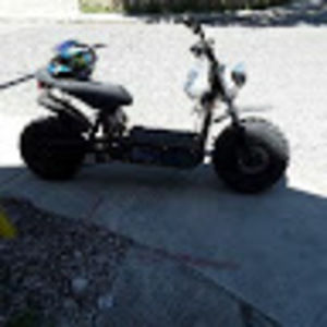 Meet your Posher, Pasquale